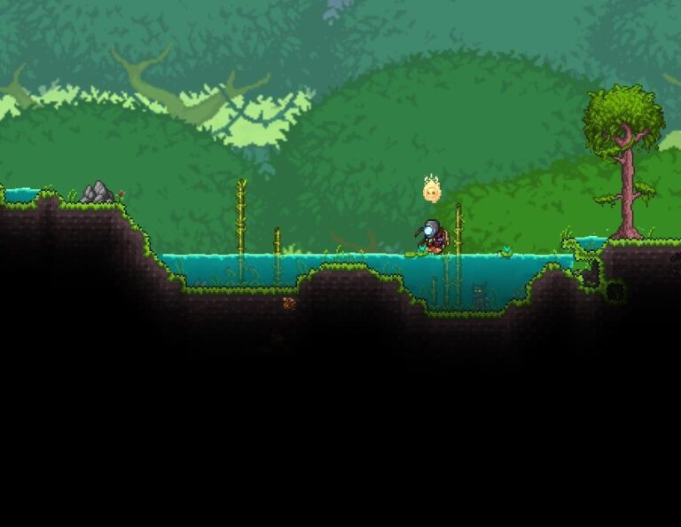 terraria fishing pond requirements